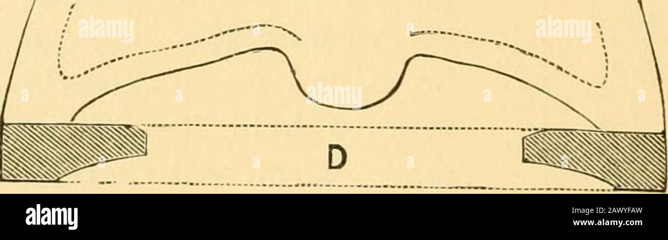 Guia Abc De Magner A La Herradura Sensible Un Tratado Simple Y