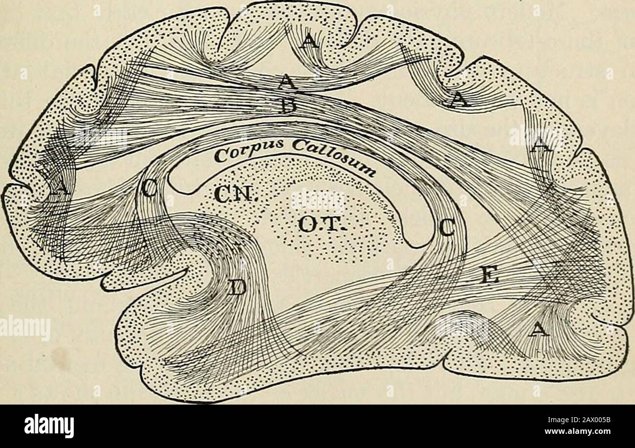 Un libro de texto de fisiología, para estudiantes de medicina y médicos