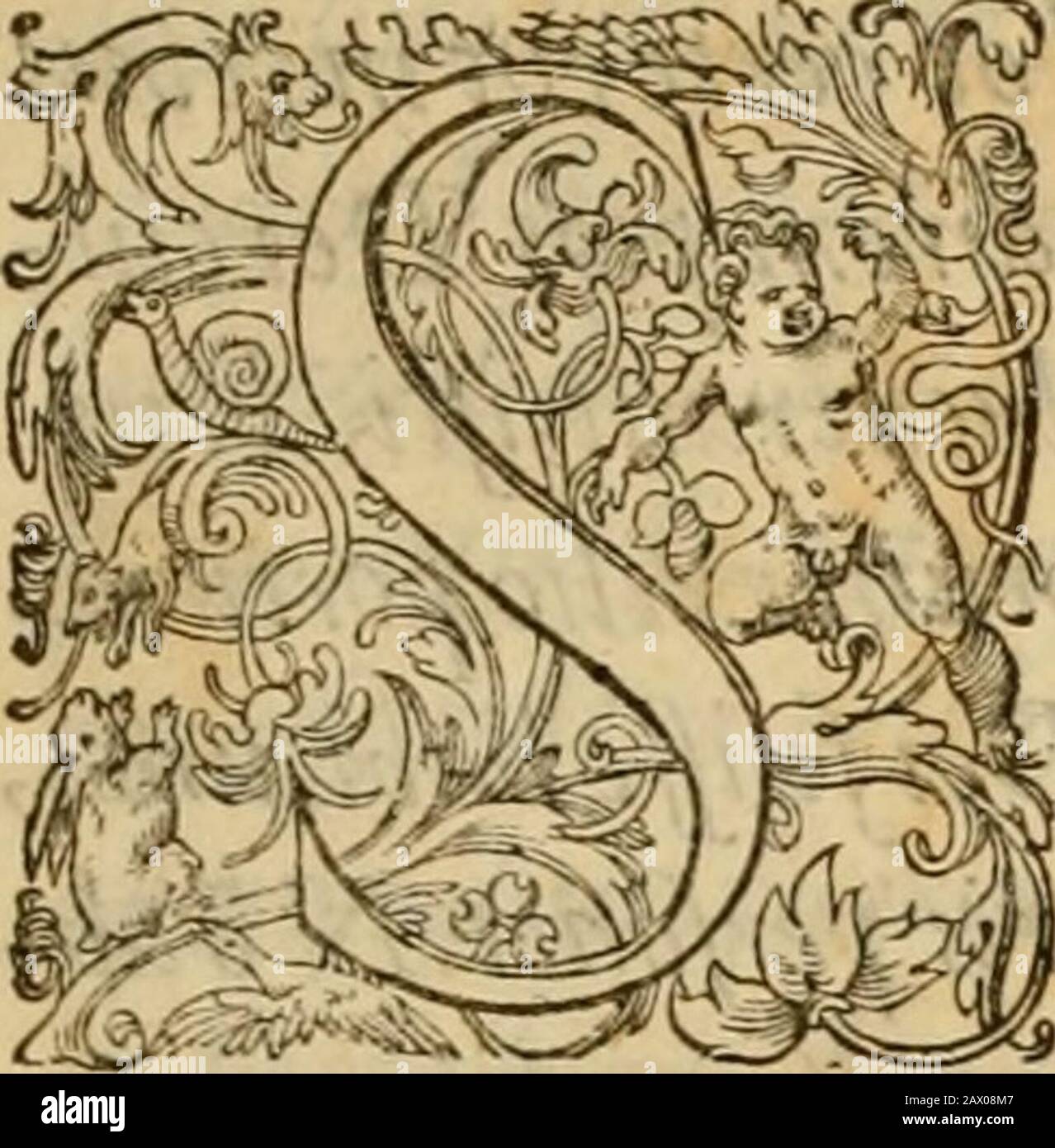 Harmonia ex Evangelistis tribus composita Matthaeo, Marco, & Luca . t--. Minis>Confiilibus jSenatuic|ueincJyt vibis FiMhcfordi JoiivinnesCaluinus. Vtilefuit,qm pigris Cf lentisvel mir-nusfirenue curretihmfiimidum adderent.jfa-cit huius corruptifiimyjetuli NPN ignauia ?nodofed etiambcordia macut maineffict,non-phonefind Omnes quidem Videmus & prtuatim puhUce ad prauam a-mulatione?7U intentos: ?jccui monarcha adpropagandos quihuflthetmodis tmperjjfuif Foto de stock