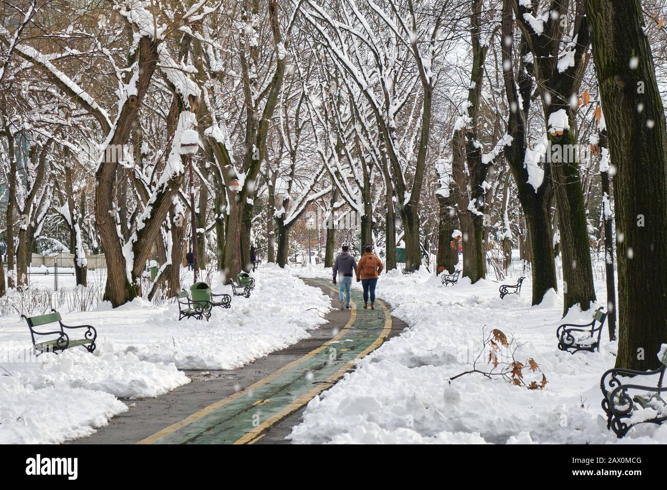 Bucarest, Rumania - 6 de febrero de 2020: Pareja caminar mano a mano en un callejón en el Parque Rey Miguel I (Herastrau) en invierno, con bancos laterales y nieve c Foto de stock