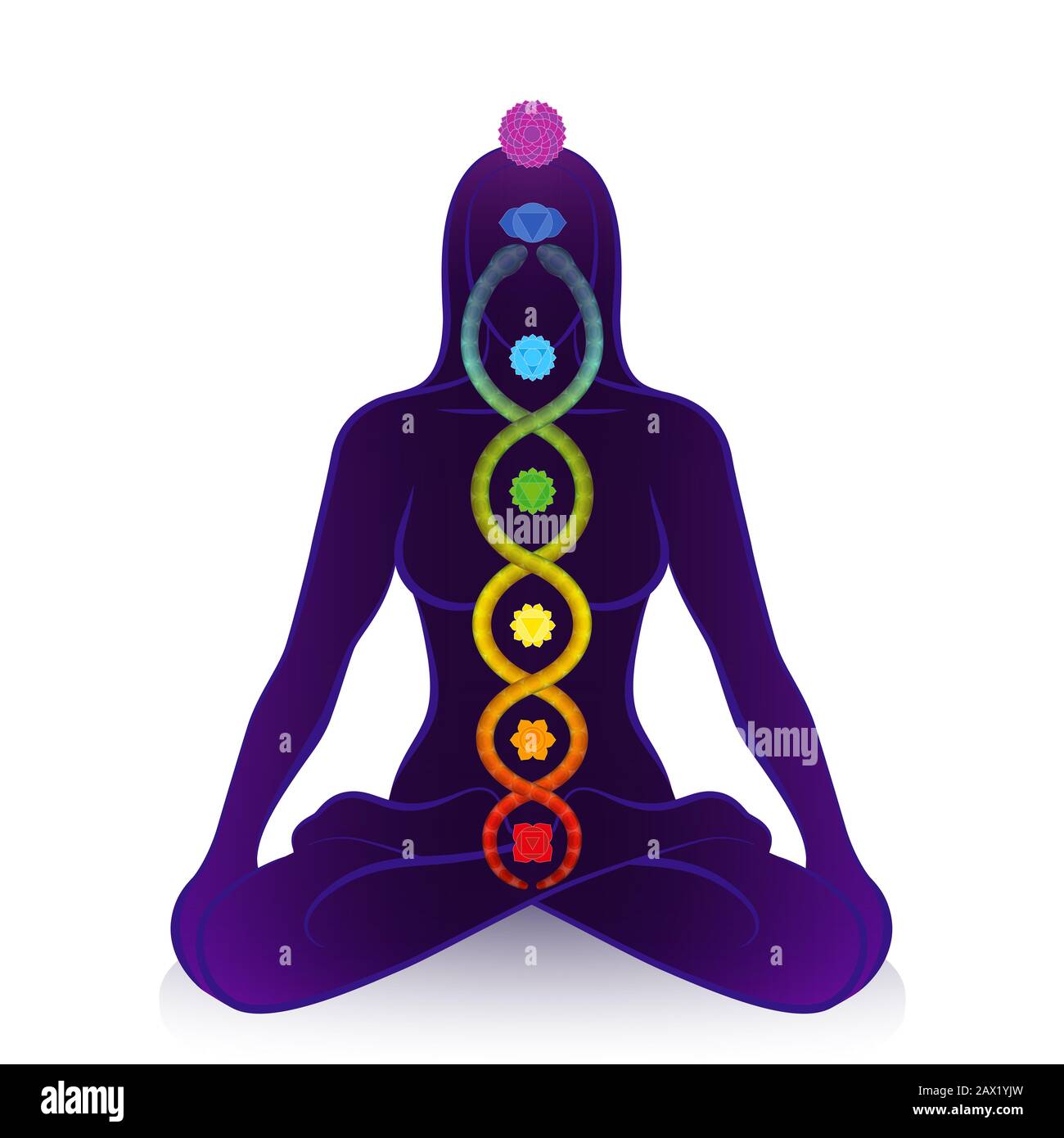 Serpiente Kundalini y chakras de una mujer meditante, símbolo de despertar  espiritual, poder curativo y equilibrio, armonía celestial y relajación  Fotografía de stock - Alamy