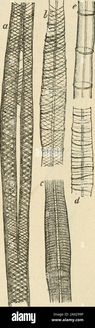 Strongly Reduced Imagenes De Stock Strongly Reduced Fotos De