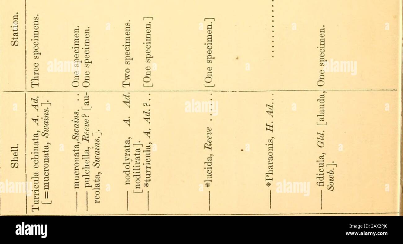 Los Anales y la revista de historia natural; zoología, botánica y geología . 3 r g p . S K o * : - d w -. P cj _, « cs S.S - <i OS -? OdUJ3 CJ 01 r?o S X Jesús 2 5jj X ft S p g o P 8 S + 6 C S S ,—I ~ ! Og PS , * . g! O s i—i* P .V 00o j- CJ 5 - a 22 s i o a isi s Sección 12 3.5 r aceite CJ P/T3 > £ 3 d P t* r ° S 3 n d !£ tri CJ-i.S S .S o cj « 3 IT 3 13 - o P RC Jesús 2, 0 _w o CJ -M.5 CD u i £ :S CJ Jesús 3 CD _3 CJ m 3 cp CD o. 5 >i> S » 5 « !£-2 -rt — a s g 5-1 CD J3 Jr1 00. P £ CD Jesús 3 .RP CD 13 .es .es .es ? 2-3 P 3 .5r- CD CJ U .P * 3 Jesús r-« Foto de stock