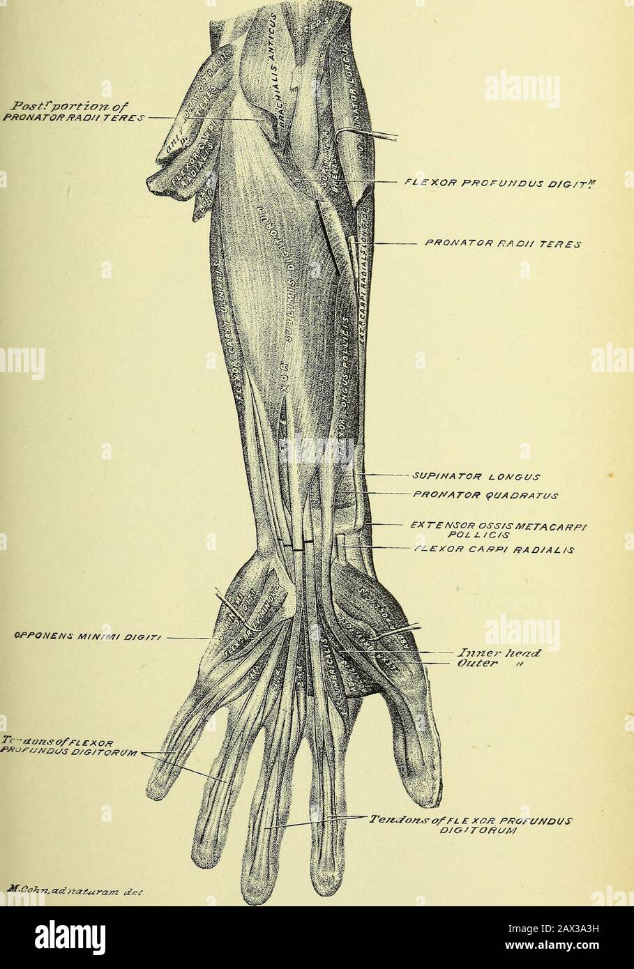 Zva Fotos E Imagenes De Stock Alamy