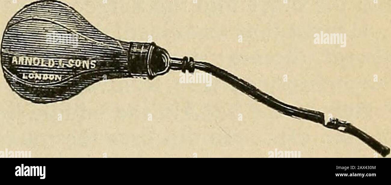 Bolsa gutural fotografías e imágenes de alta resolución Alamy