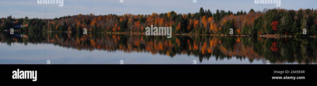 Los árboles en un lago con colores de otoño gran reflexión. Parece un crescendo de ruido. Foto de stock