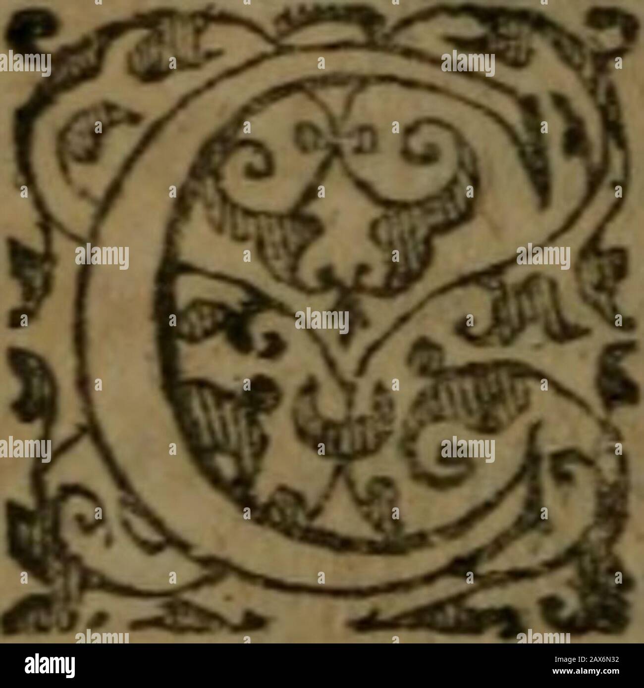 Franciscanvs Et Fratreselegiarvm Liber Isilvarvm Liber Ihendecasyllaben Liber Iepigrammtum Libri Iiiibus Iam Recens Accedunt De Sphaera Libri V G O R G I I B V C H A Na
