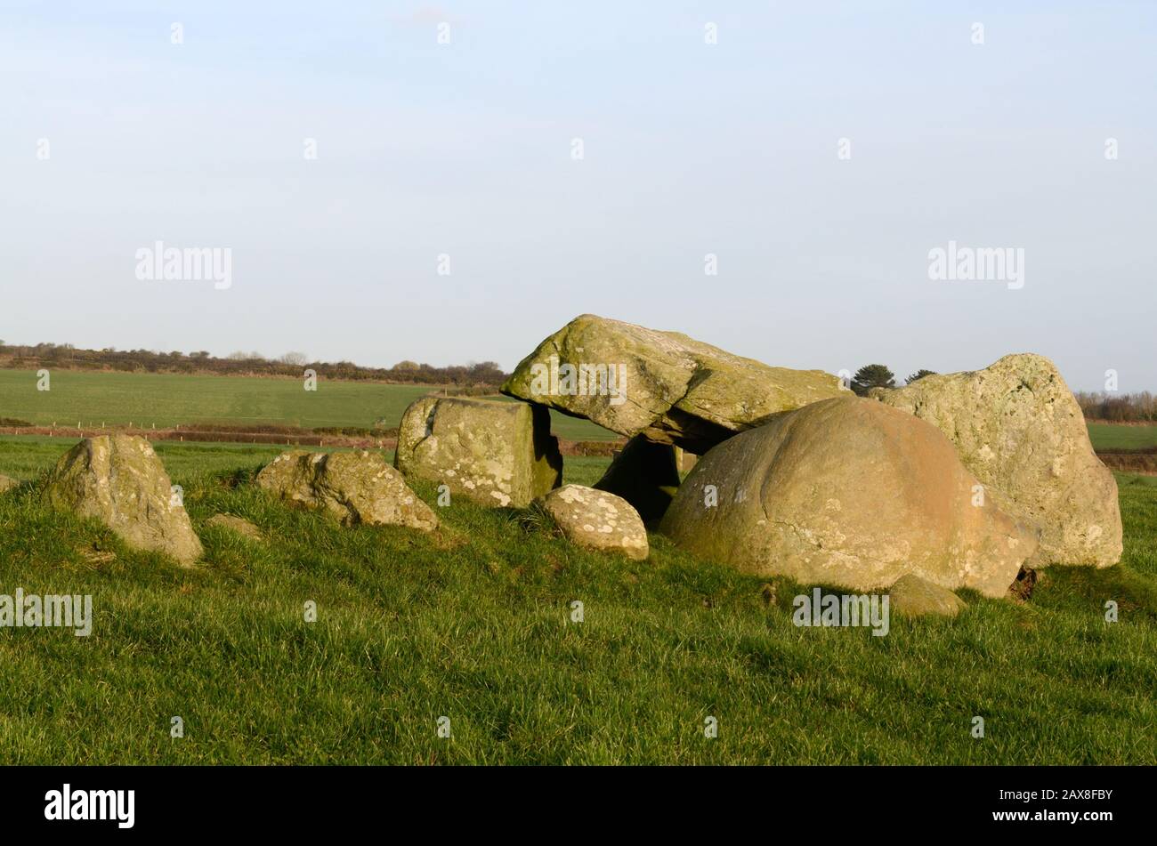 Trellyffaint Cámara de entierro neolítico 4to-principios de 3 milenio BC Nevern Pembrokeshire Wales Cymru Reino Unido Foto de stock