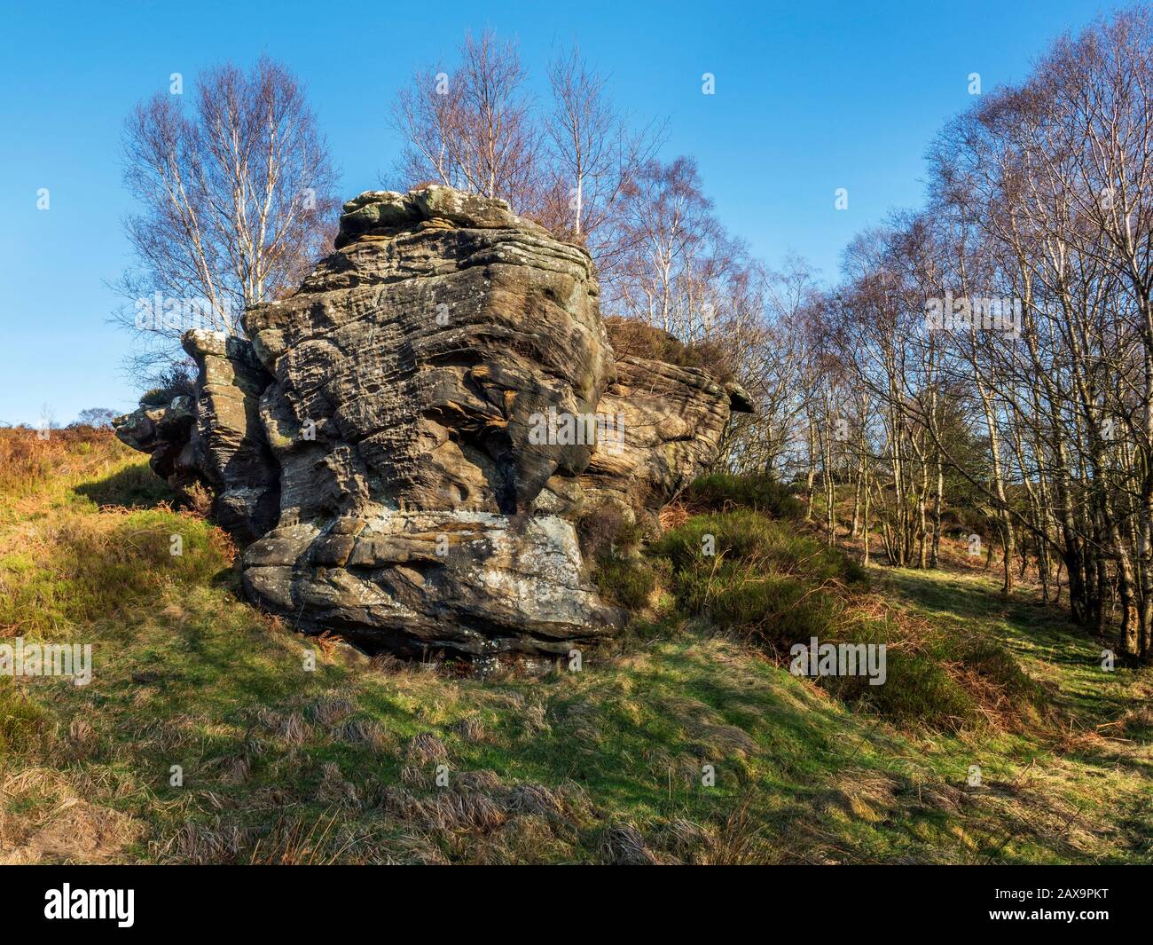 Formación de piedra de afilar en Brimham Moor Nidderdale AONB North Yorkshire England Foto de stock