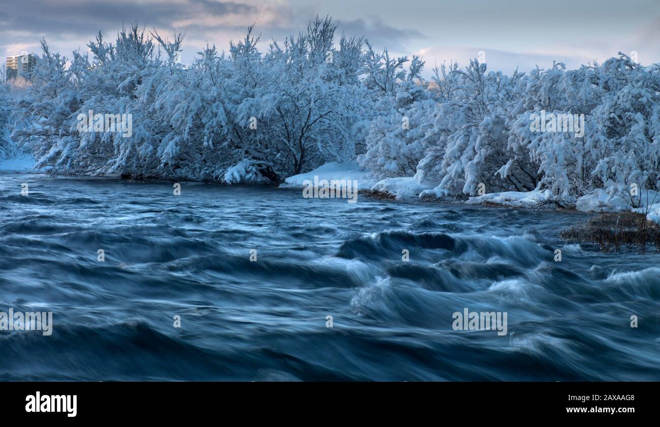 Río Ellidaar en invierno, Reykjavik, Islandia Foto de stock