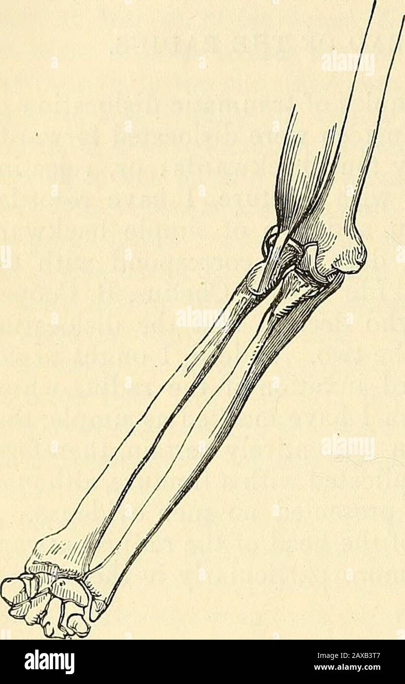 tiempo extendido new york
