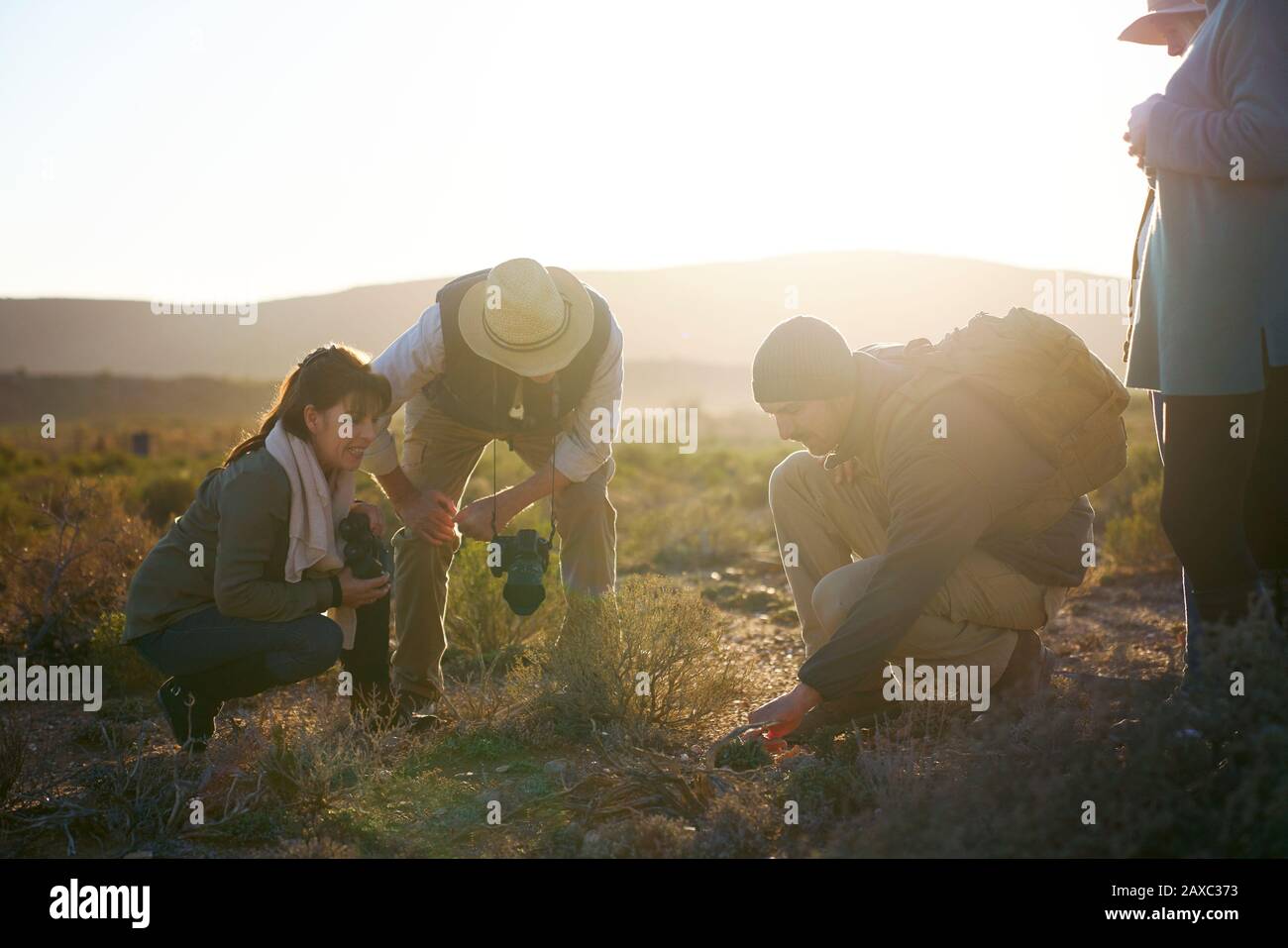Safari grupo de gira examinando plantas en la soleada pradera de Sudáfrica Foto de stock