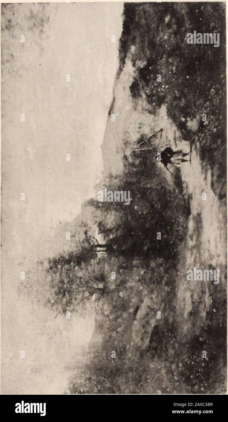 Foret Anglaise Fotos e Imágenes de stock Alamy