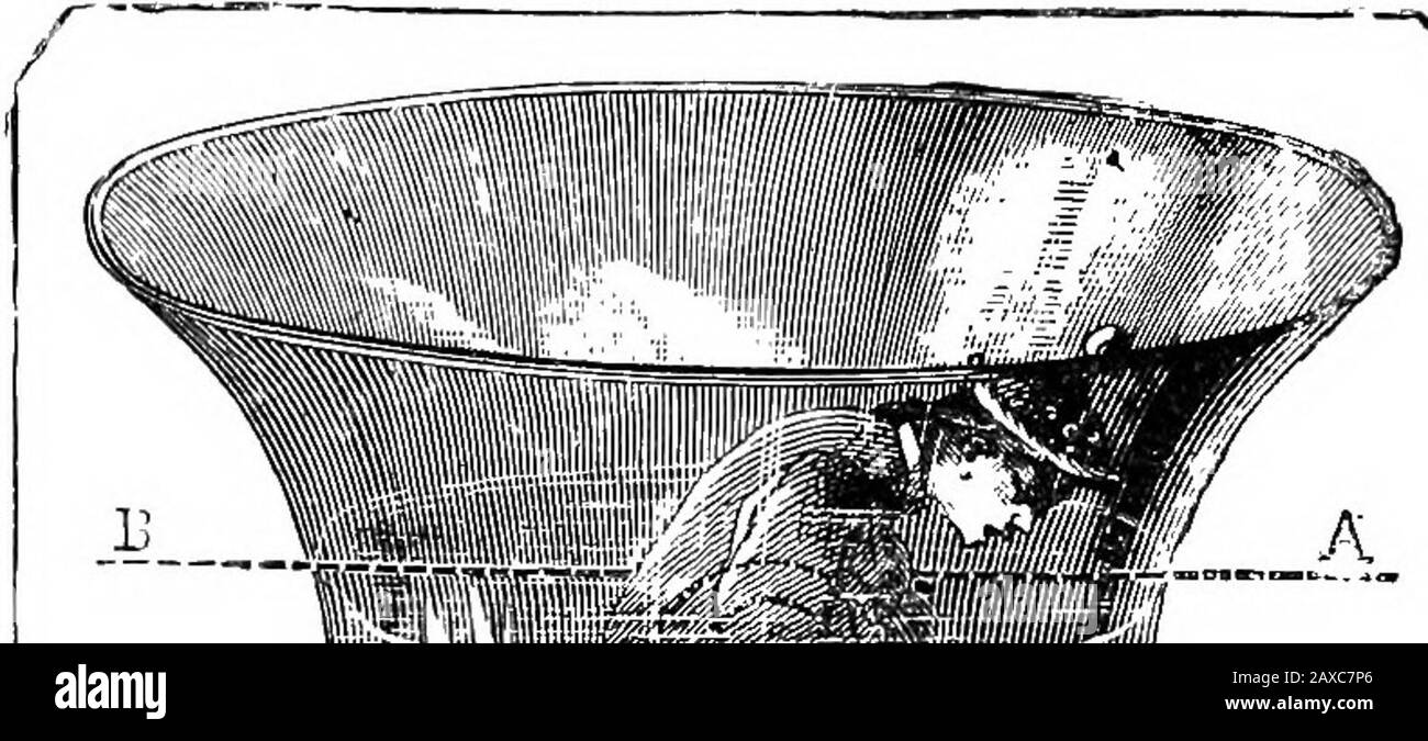 Adhesion cohesion Imágenes de stock en blanco y negro - Alamy Adhesion cohesion Imágenes de stock en blanco y negro - Alamy