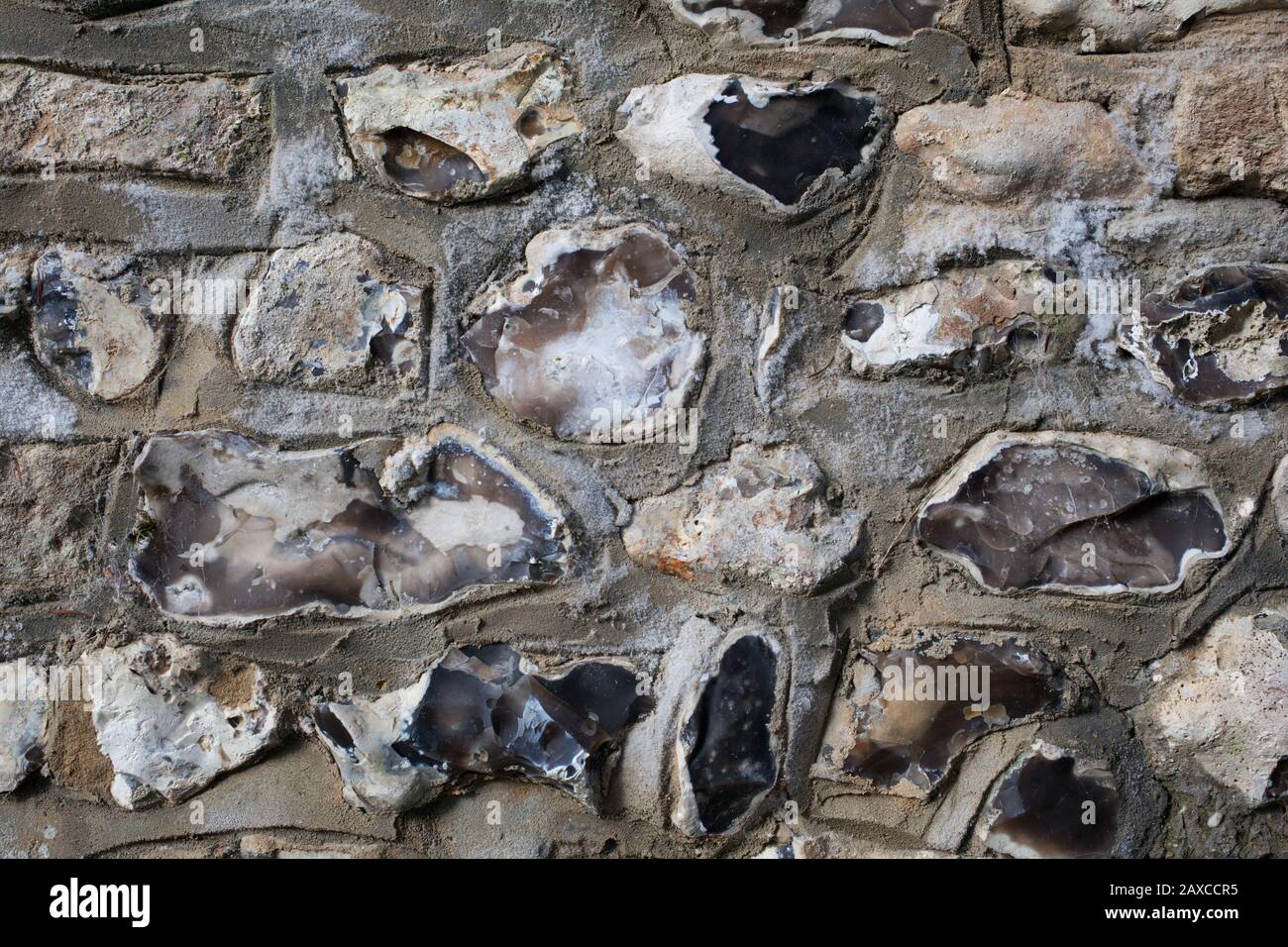 Una antigua muralla de piedra en Winchester, Reino Unido Foto de stock