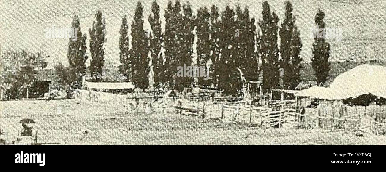 Barrera de fotografías e de resolución - Página 4 -