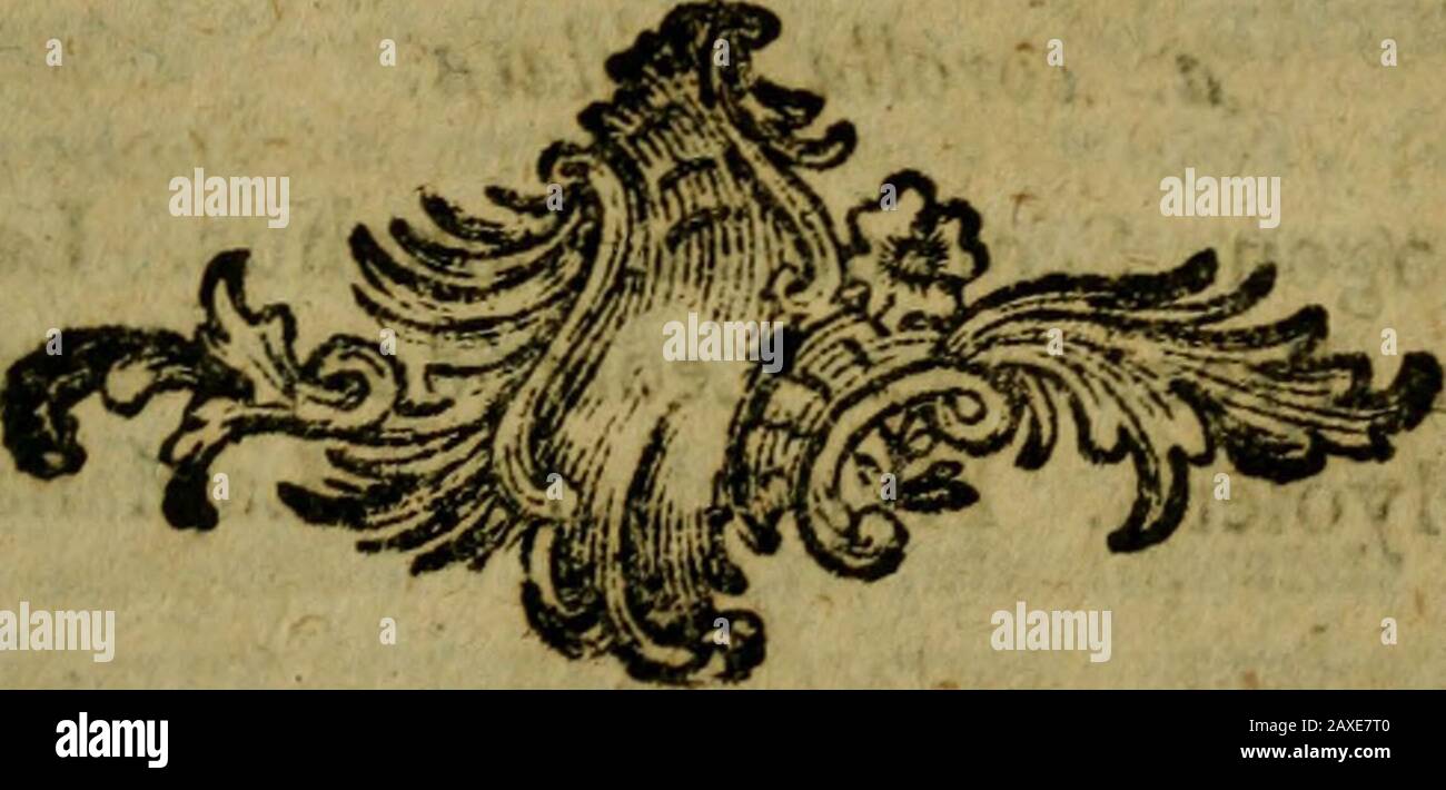 Tentamen Florae Gedanensis Methodo Sexuali Adcommodatae Clas Polvadetphia 121 Classis Xviii P 0 L R A D E L P H I A Tolyah S Taminibus Numerofis In Flura Corpora Coa Itis 251