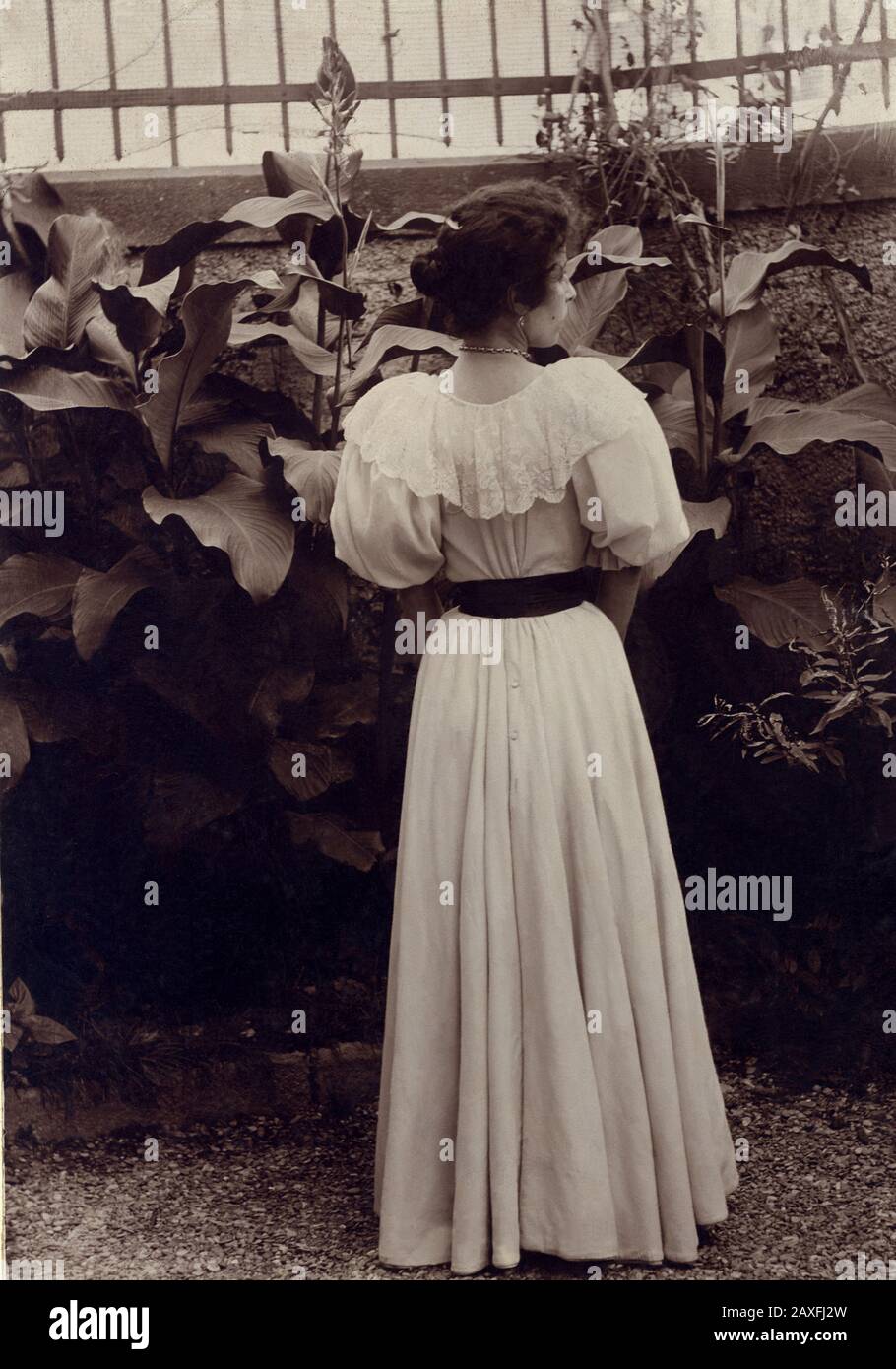 1897 , 4 de julio , GENOVA , ITALIA : Mujer en jardín . Foto Por Riccardo  Tarozzi , Génova - DONNA - chica - schiena - parte trasera - ART NOUVEAU -