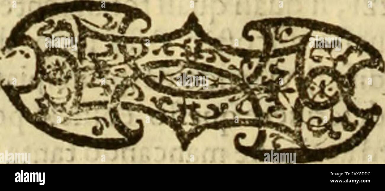 DFrancisci Baronii ac Manfredis de maiestate Panormitana libri IV . ueftigationem„ adhibui fumam diligentiam , plurirnos muere, nodefque plurimas elucubranoconfumpfi. Noninueni. Praeclarior ca?teris cumfic * locus, maximifque delicijs refertus. ID fuadet. Locus regio eft; acsedificij veftigia,qu:e non exiguam terra» intercapedinem contet, &coercent,regiamcommendantliberalitatem. ARX aquisfepta_. Y> balneas, pifcinafcue gremioconfouebat fuo, ad quasRexvellaua- tum > velexifccumcum veniret,per varios a»dificij meandrosde- * Iitefcentibus grad*bus in Ioea deurniret. En ea obfoicta Foto de stock