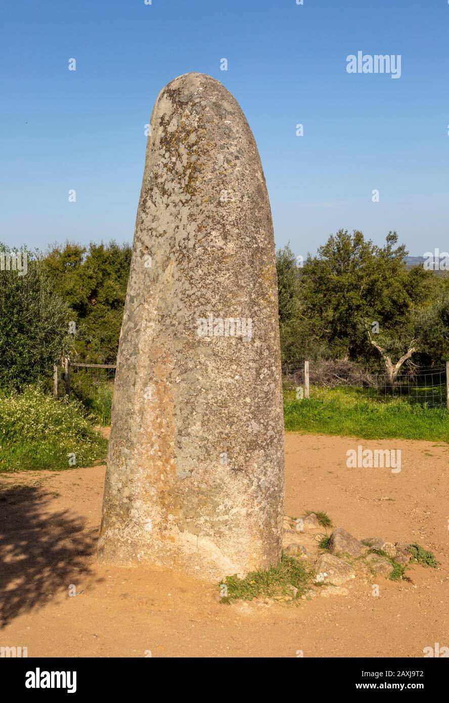 Piedra neolítica de pie de 4 metros de altura llamada el Menir dos Almendres, cerca de Évora, Alentejo, Portugal, Sur de Europa Foto de stock