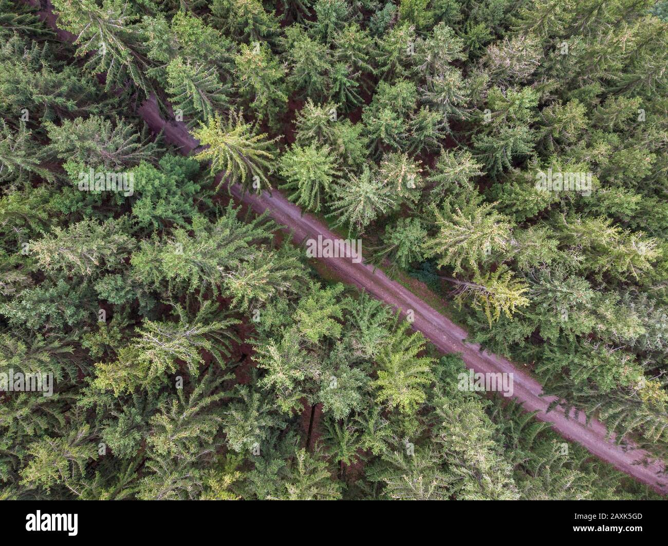 Vista aérea de una carretera en el medio del bosque en alemania en un día soleado Foto de stock