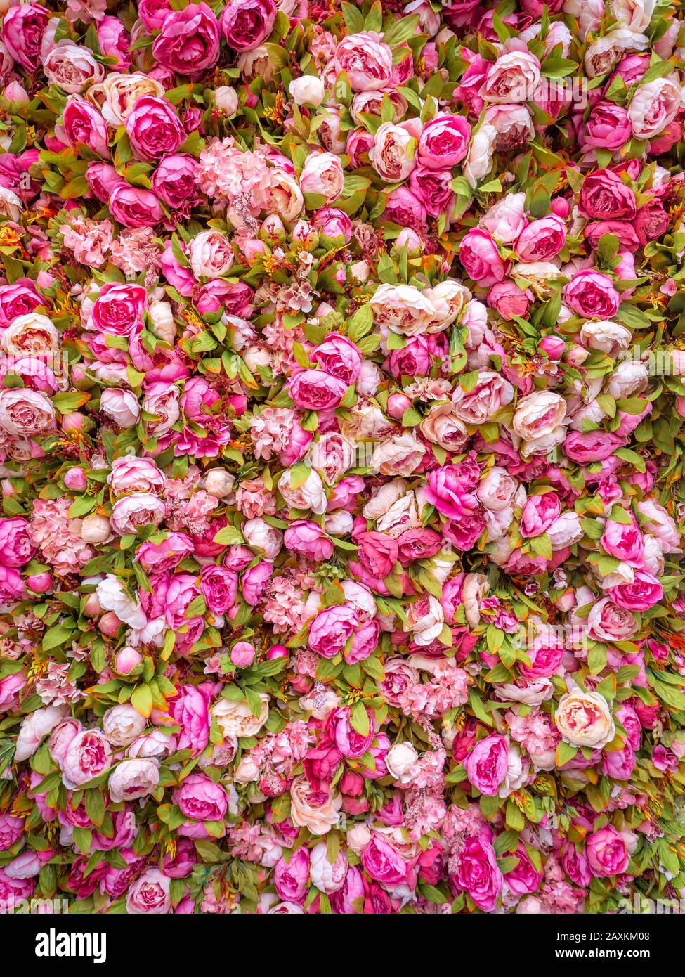Hermoso fondo de peonías artificiales rosadas. Boda decoración festiva.  Fondo de rosas florales. Fondo de flores rosas Fotografía de stock - Alamy