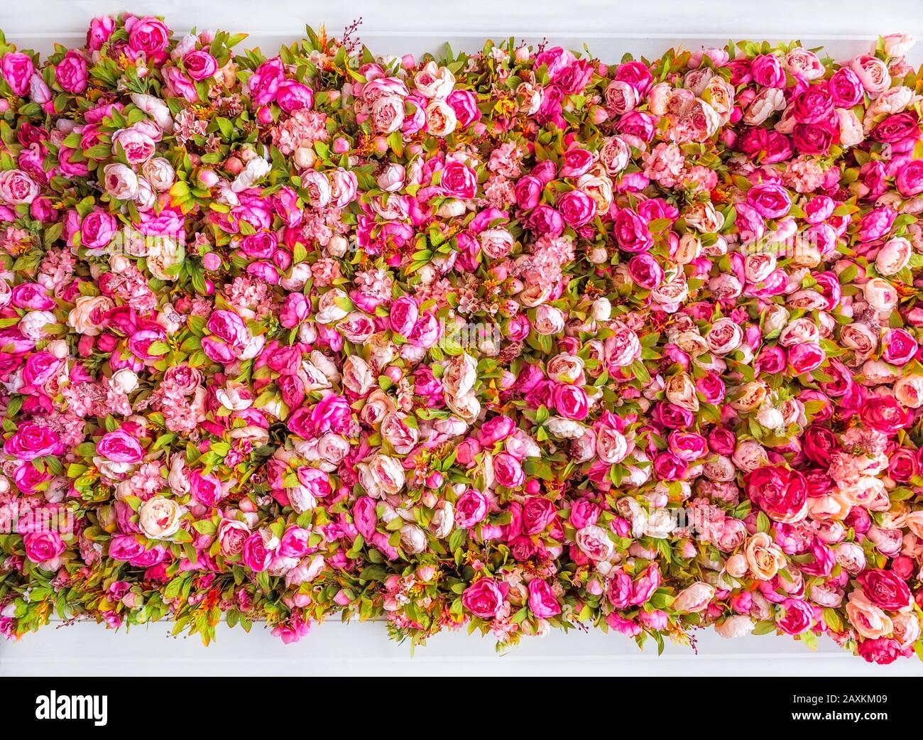 Hermoso fondo de peonías artificiales rosadas en marco blanco. Boda  decoración festiva. Fondo de rosas florales. Fondo de flores rosas  Fotografía de stock - Alamy