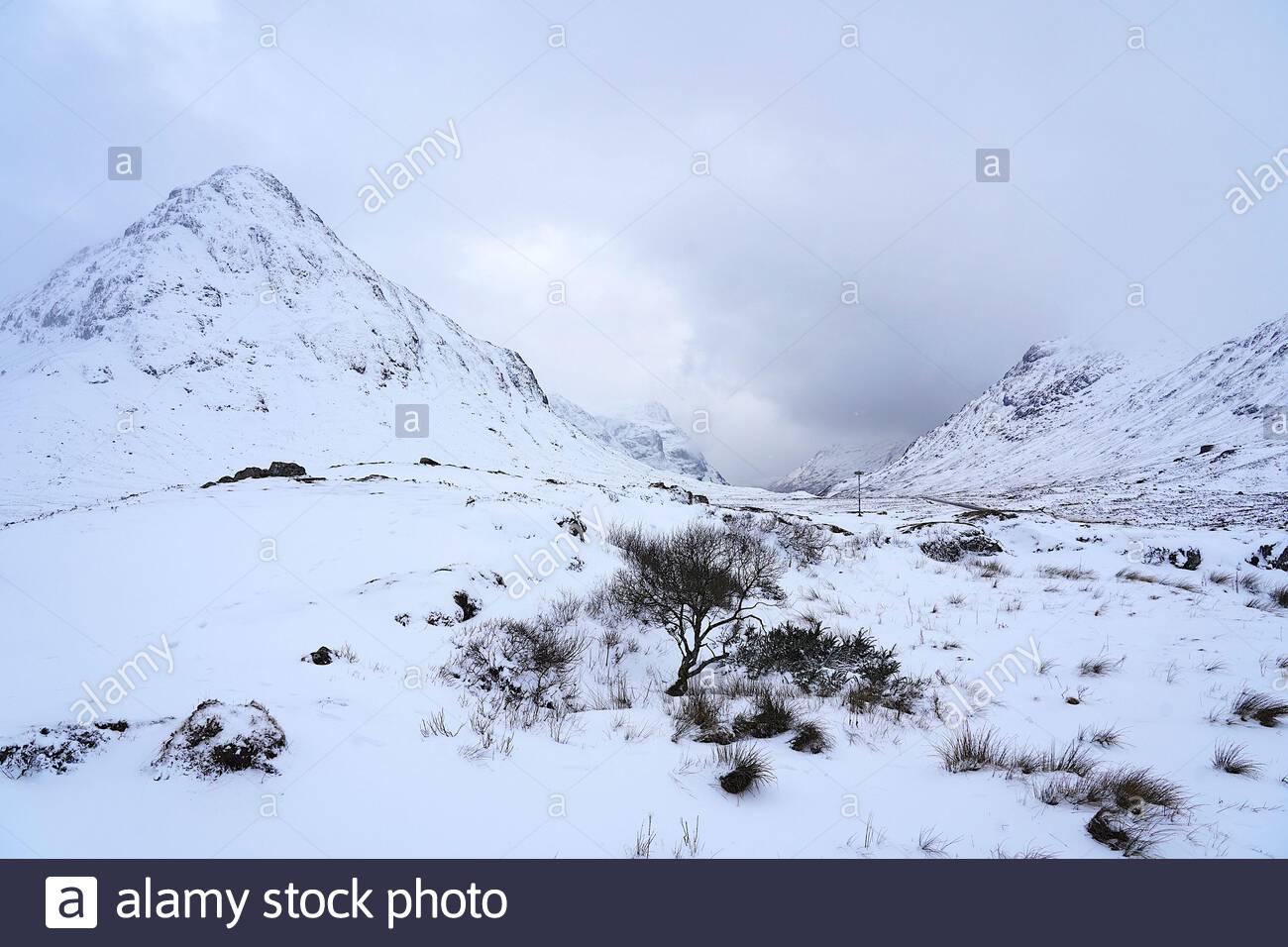 Glencoe, Escocia, Reino Unido. 12 de febrero de 2020. Fuertes nevadas en las tierras altas de Escocia en Rannoch Moor y Glencoe visto aquí siendo gravemente afectado. Crédito: Craig Brown/Alamy Live News Foto de stock