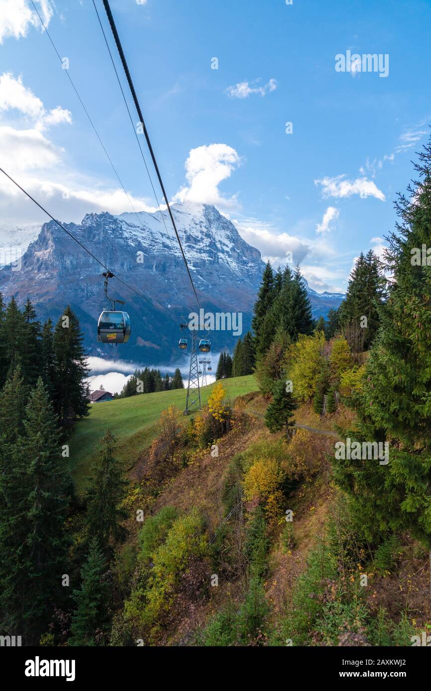 Teleférico desde Grindelwald Hasta El Primero a lo largo del bosque en otoño, Oberland bernés, Cantón de Berna, Suiza Foto de stock