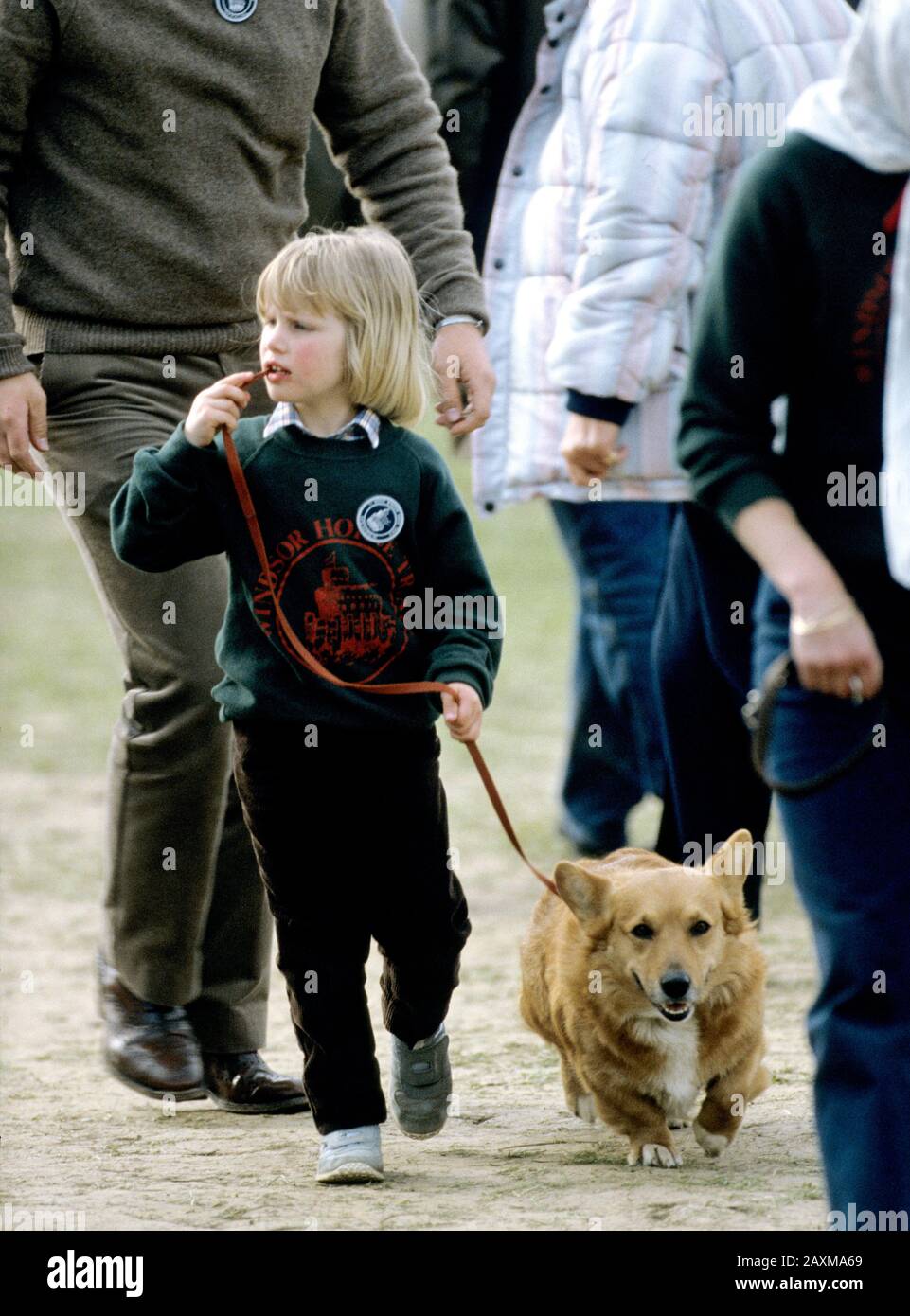 Zara Phillips camina por uno de los Corgis de la Reina, Windsor Horse Trials, Inglaterra, abril de 1985 Foto de stock