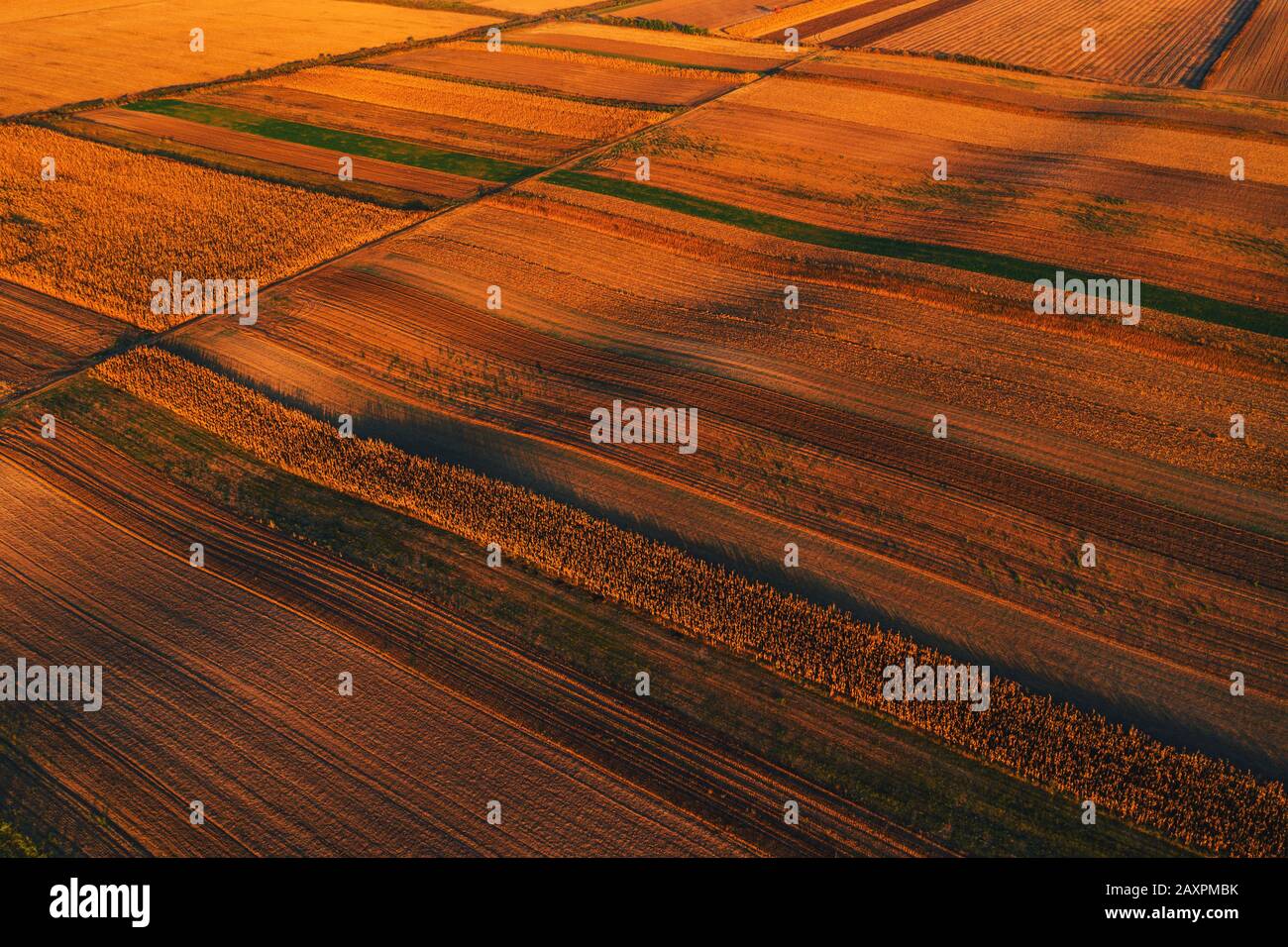 Colorido paisaje mosaico antecedentes, campo agrícola cultivada como patrón abstracto en otoño de puesta de sol, vista aérea de drone POV Foto de stock