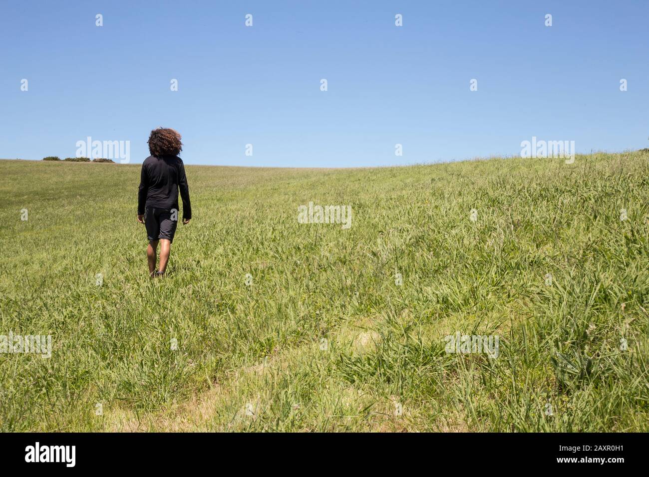 Hombre con cabello rizado caminando sobre verde pradera bajo el cielo azul, Waiheke Foto de stock