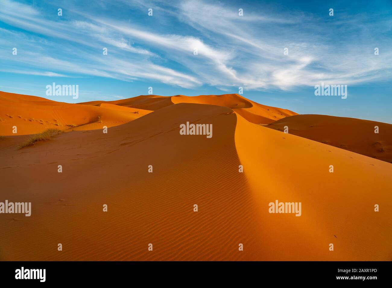Dunas de arena en el desierto del Sahara, Marruecos Foto de stock