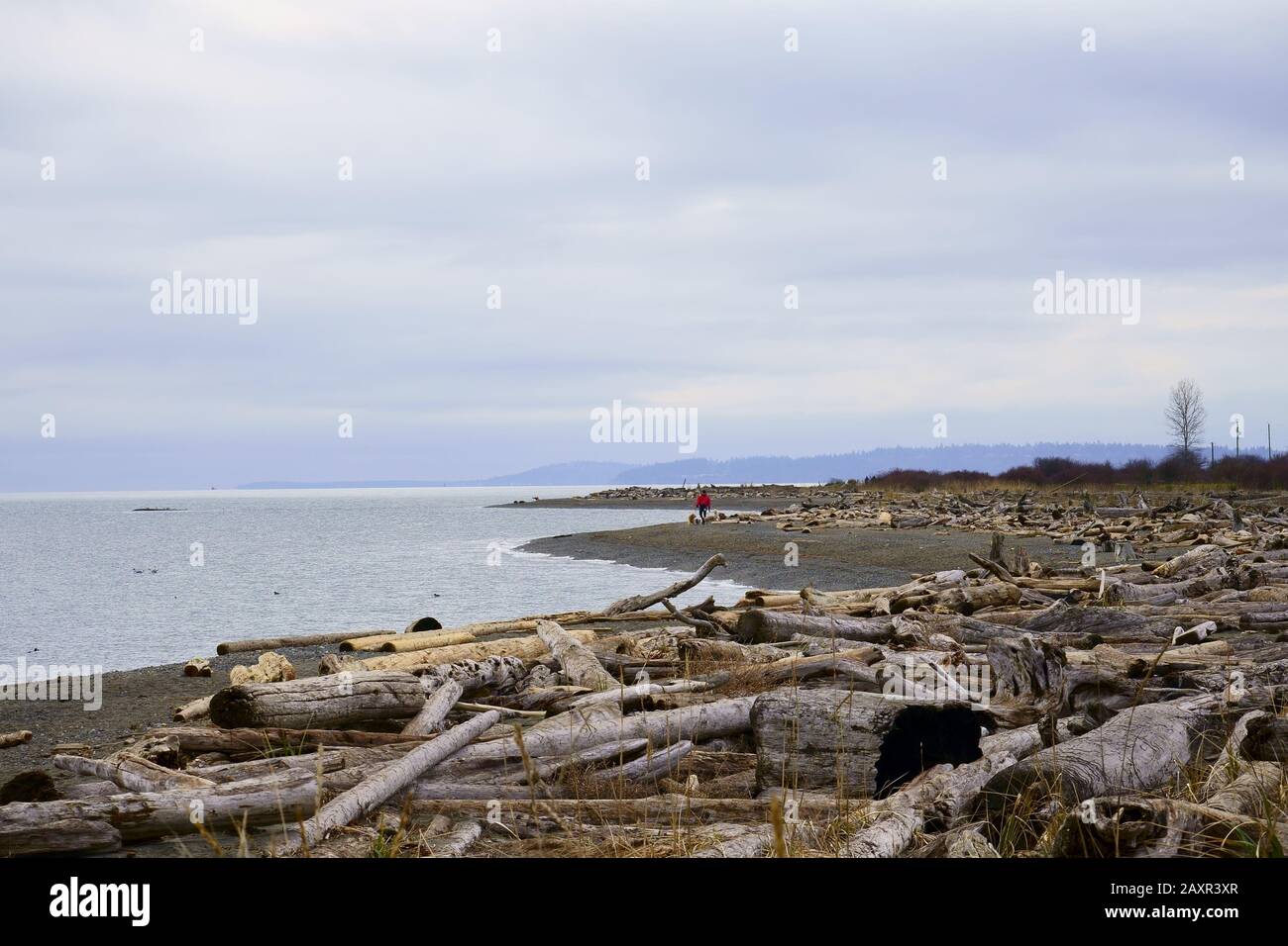 Island View Beach Foto de stock