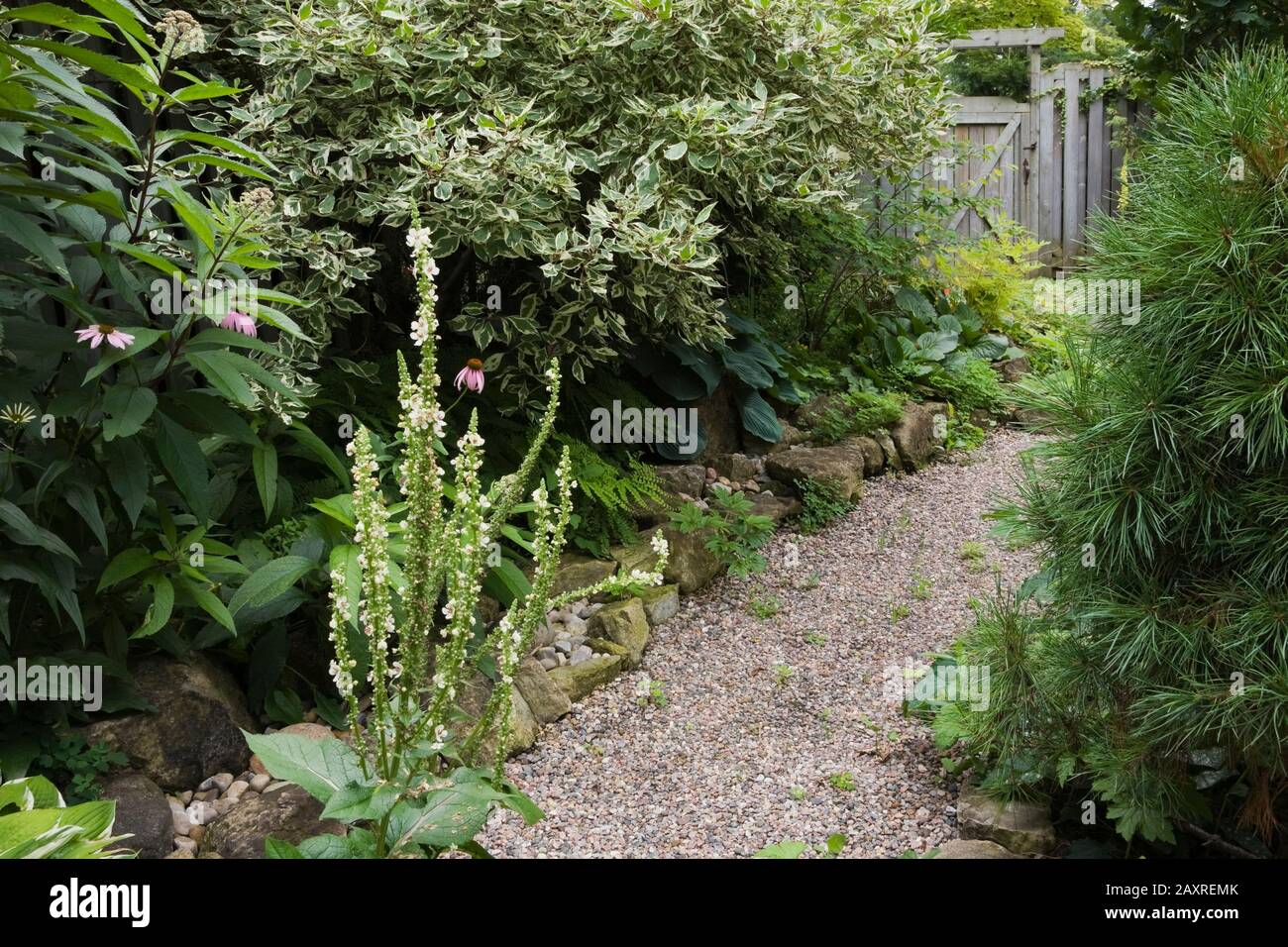 Arbusto de borde de camino fotografías e imágenes de alta resolución - Alamy