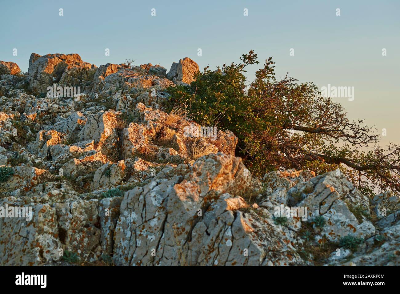 Paisaje, rocas en Lubenice, vegetación, Creta, Grecia Foto de stock
