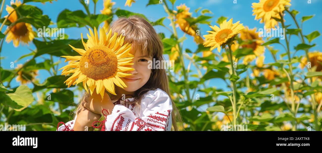 Camisa girasoles discount