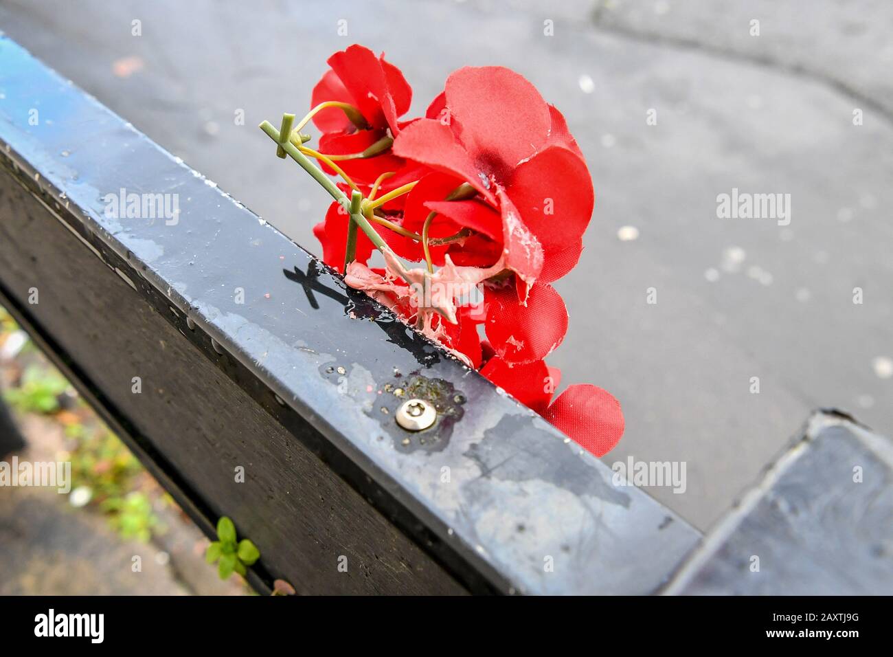 Una nueva obra de arte al lado de una casa en Marsh Lane, Barton Hill