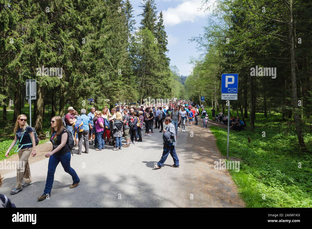 27.05.2016 Palenica Bialczanska, multitud de turistas que se dirigen al lago Morskie Oko en las montañas Tatra, Polonia Foto de stock