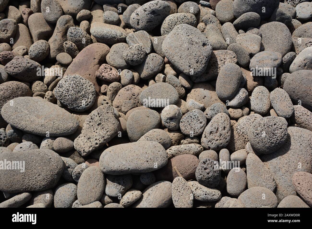 Poroso fondo de roca volcánica hawaiana Foto de stock