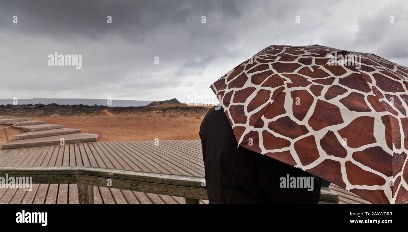 Lloviendo, geotérmica -área volcánica, Krafla, norte de Islandia Foto de stock