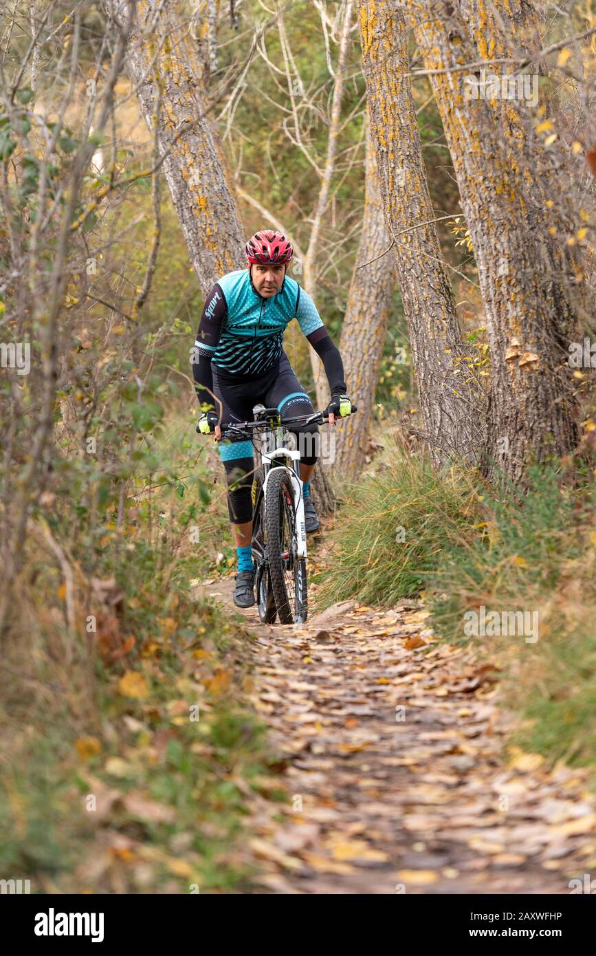 Hombre ciclismo de montaña en el bosque, temporada de otoño. Pueblo de Banyeres de mariola, Costa Blanca, provincia de Alicante, España Foto de stock