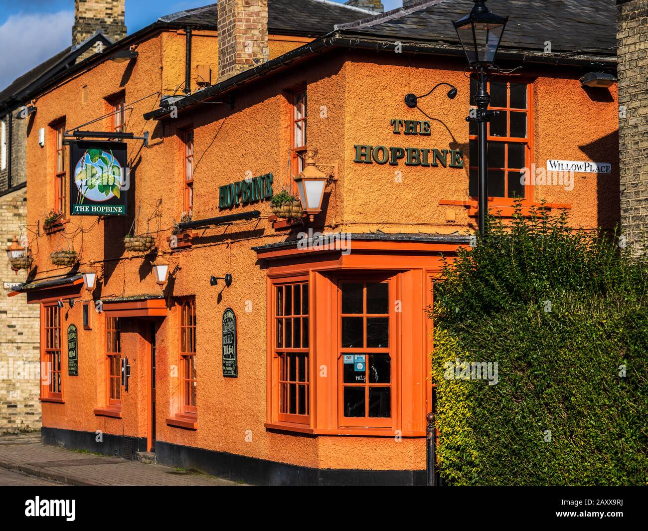 Cambridge Pubs - el pub Hopbine Cambridge, establecido en 1839. Cerrada 2019. Foto de stock