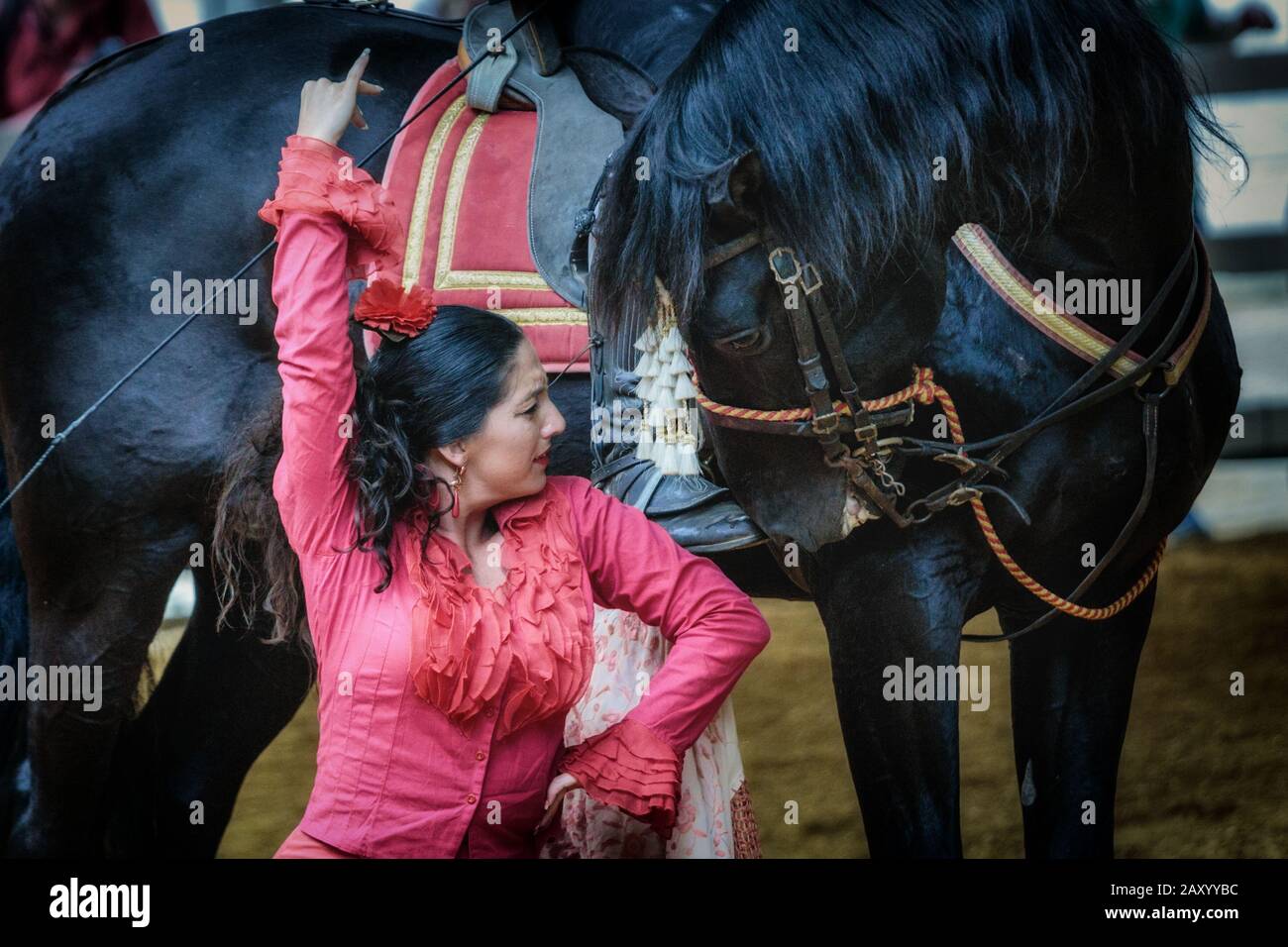 Bailarina flamenca actuando con un caballo, Feria del caballo de Jerez (Feria de caballo) , Jerez de la Frontera, Andalucía, España Foto de stock
