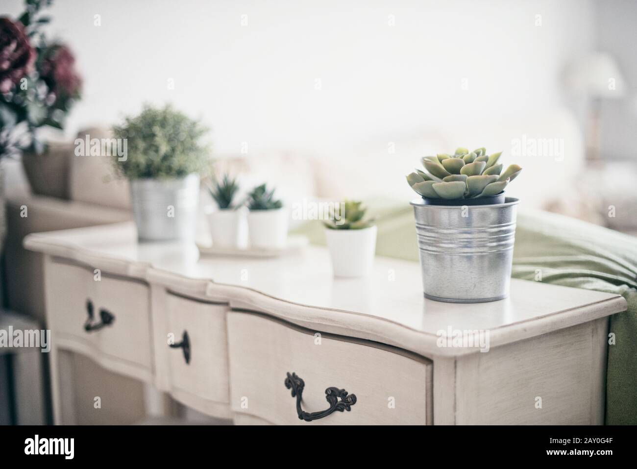 Plantas suculentas en una tabla lateral en una sala de estar Foto de stock