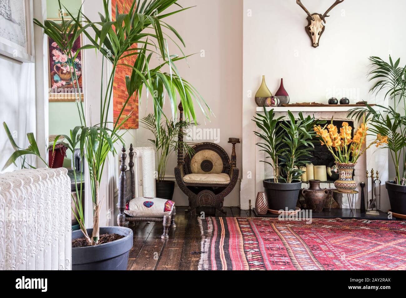 Plantas en macetas en la sala de estar Fotografía de stock - Alamy