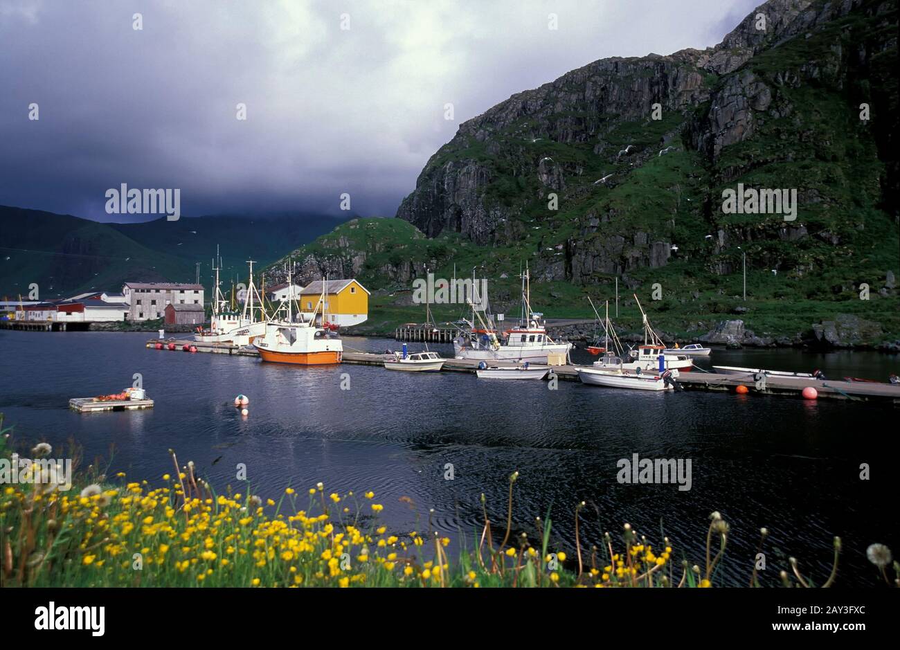 trawler en el puerto de Nykvag, isla Langoya, Vesteralen, Noruega Foto de stock