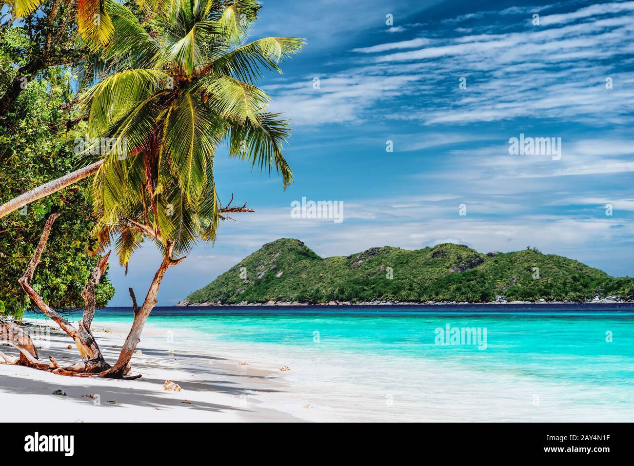 Ambiente de vacaciones de lujo en la isla tropical. Playa paradisíaca con arena blanca y palmeras. Concepto de escapada turística de larga distancia Foto de stock
