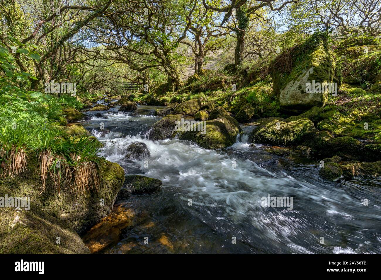 Río De Lank; Bodmin; Reino Unido Foto de stock