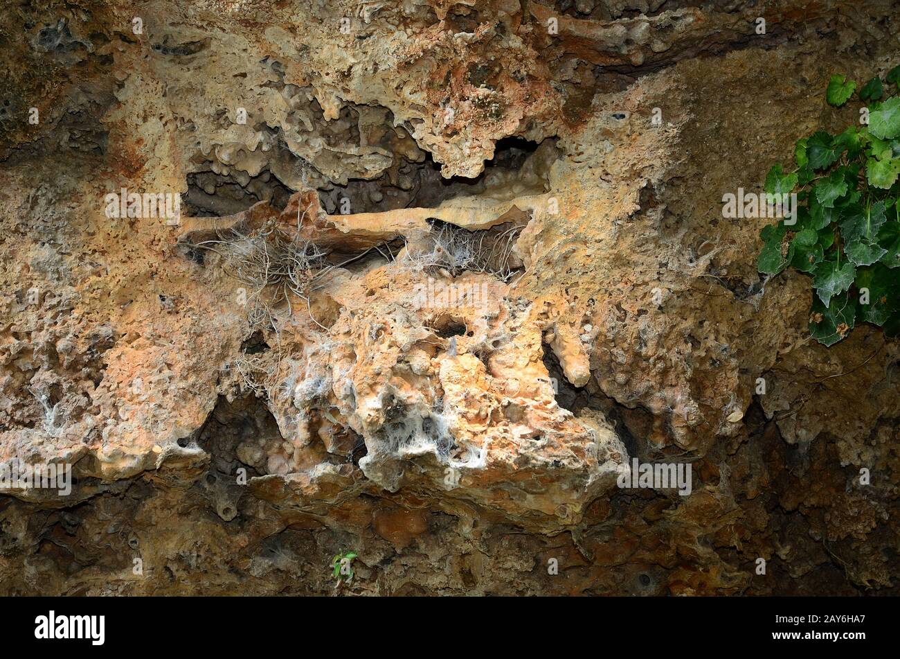 cueva de karst, cueva, depósitos litorales, depósitos pelágicos, Foto de stock